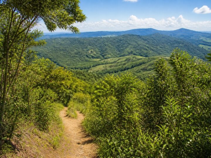 Trilhas Interior de SP: Descubra Rotas Imperdíveis na Natureza