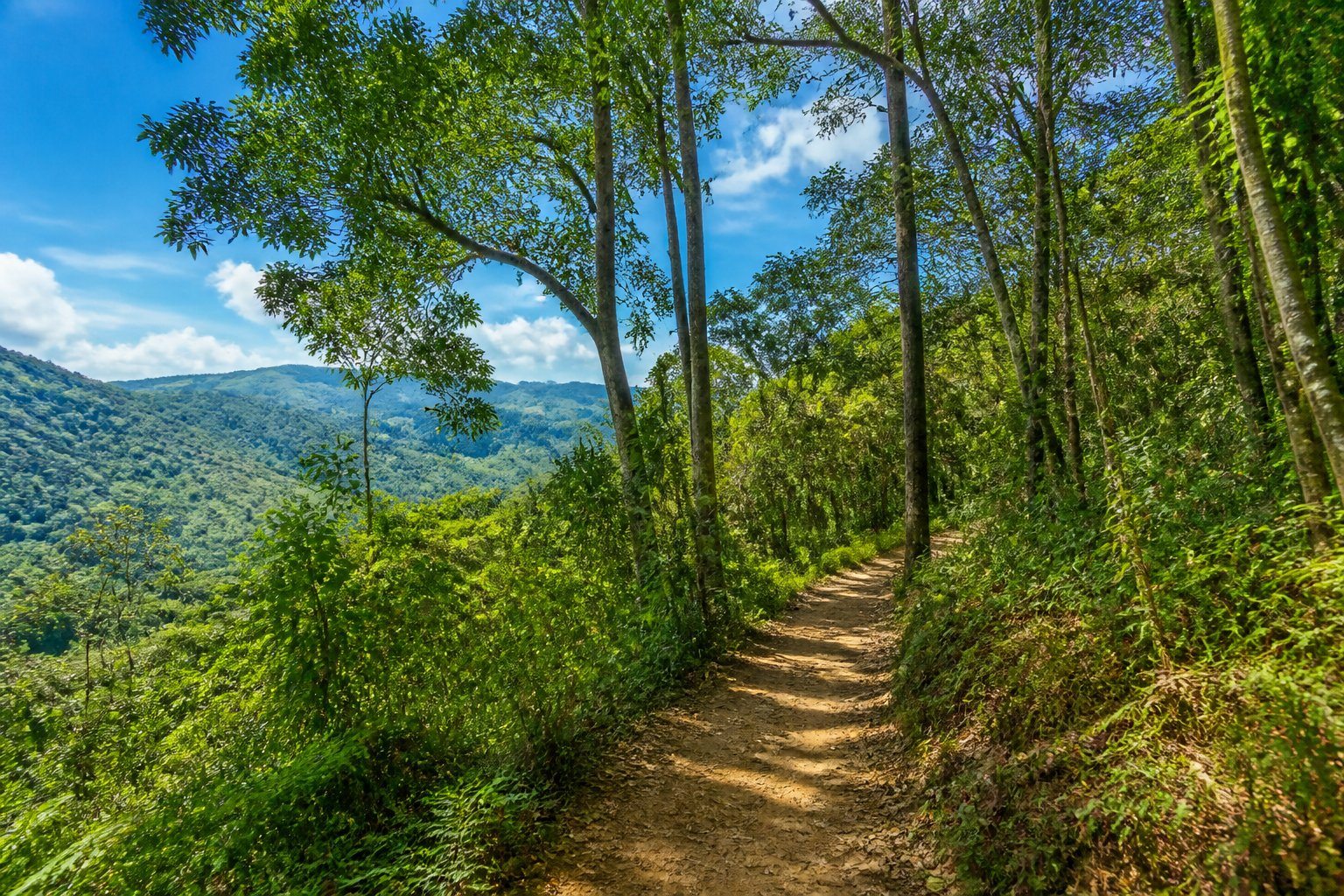 Trilha natural em uma floresta verde no interior de São Paulo com árvores altas, céu azul e colinas ao fundo.