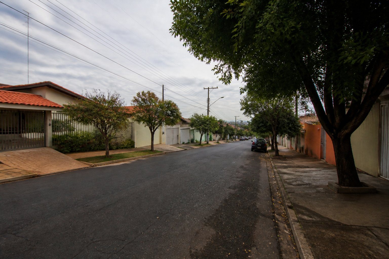 Rua residencial tranquila no bairro Jardim Bassoli em Campinas, com casas modestas, árvores e carros estacionados, sem pessoas visíveis.